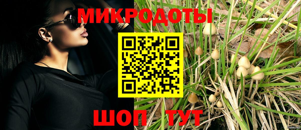 Псилоцибиновые грибы прущие грибы Городец