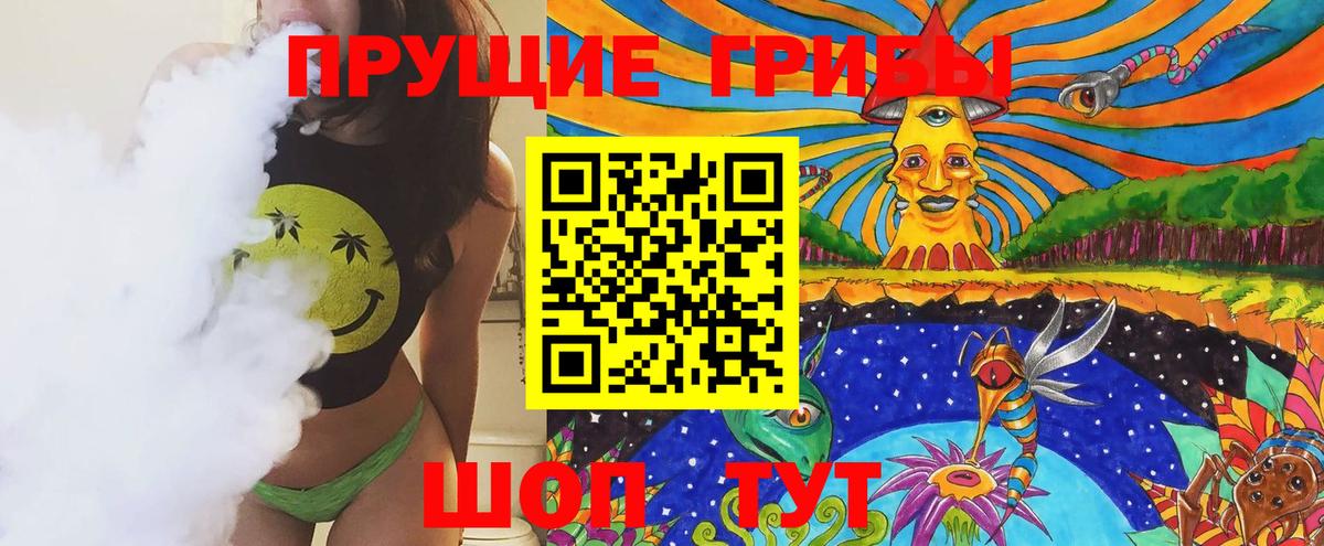 Городец  Псилоцибиновые грибы прущие грибы  Вход с VPN 